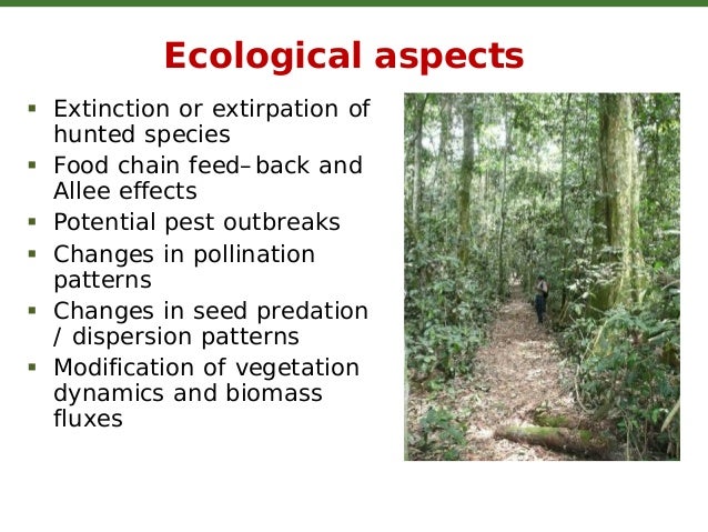 Conservation of wildlife essay 150 words image