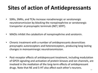 ANTIDEPRESSANTS | PPTX