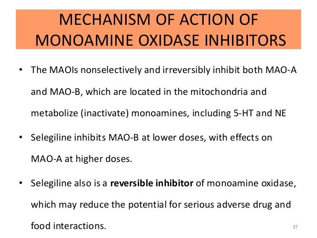 Maoi drugs selegiline