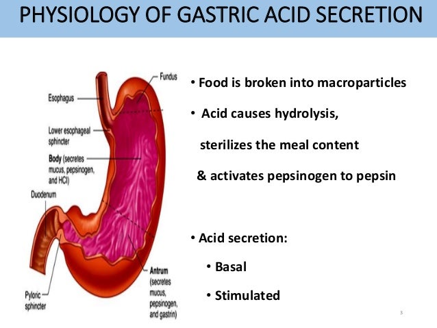 what is peptic ulcer disease pdf