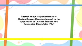 Growth and yield performance of
Mustard Leaves (Brassica juncea) to the
application of Chicken Manure and
Fermented Plant Juice (FPJ)
 