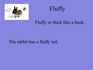 Fluffy  Fluffy or thick like a bush.. The rabbit has a fluffy tail. 
