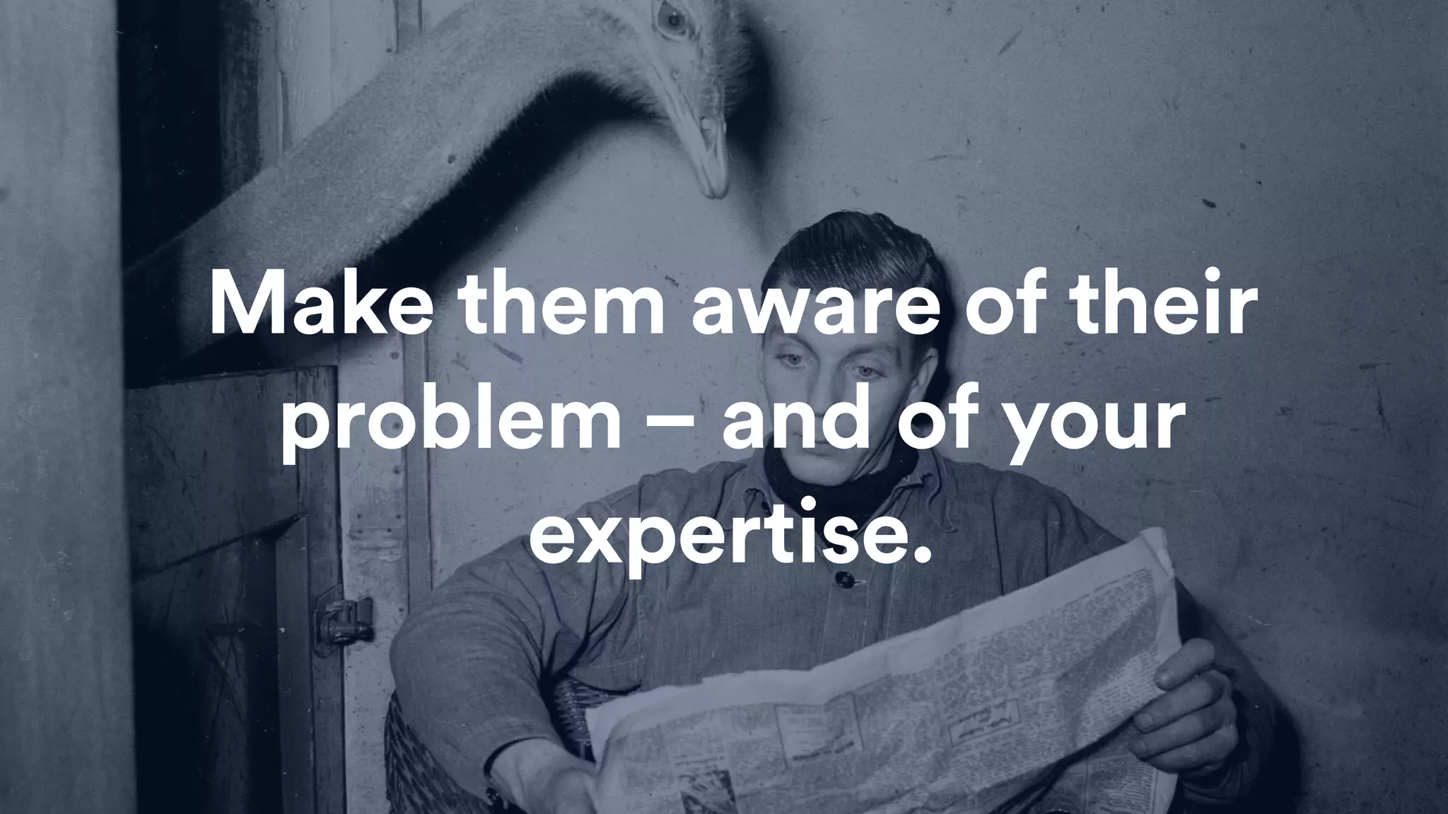 Make them aware of their
problem – and of your
expertise.
 