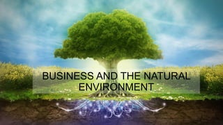 BUSINESS AND THE NATURAL
ENVIRONMENT
 