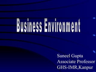 Business Environment Suneel Gupta Associate Professor GHS-IMR,Kanpur 