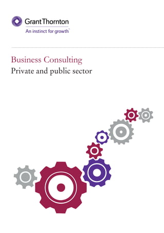 SDDBusiness consulting-brochure