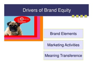 Drivers of Brand Equity



             Brand Elements

           Marketing Activities

          Meaning Transference
 