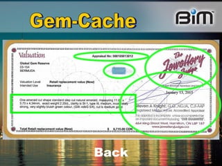 Gem-Cache Back 