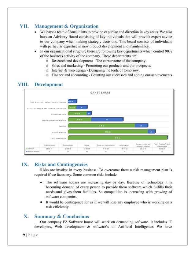 software house business plan pdf