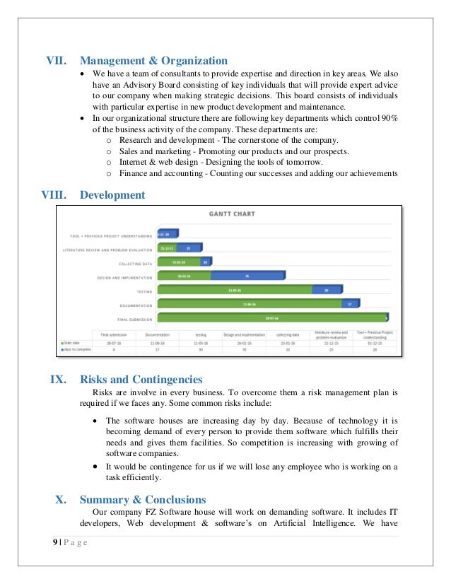 business plan of software house