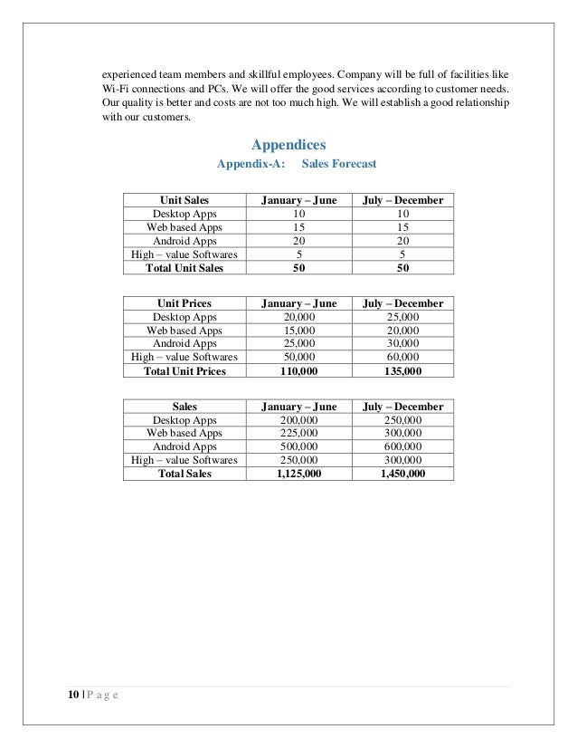 Business plan of a software house Business plan of a software house