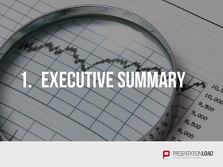 1. EXECUTIVE SUMMARY
 