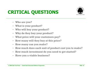 CRITICAL QUESTIONS Who are you? What is your product? Who will buy your product?  Why do they buy your product? What price will your customers pay? How many will they buy at this price? How many can you make? How much does each unit of product cost you to make? How much investment do you need to get started? Have you a viable business? 