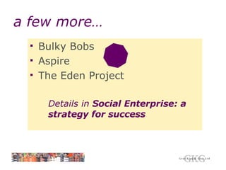 a few more… Bulky Bobs Aspire The Eden Project Details in  Social Enterprise: a strategy for success 