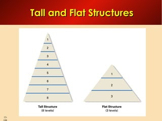 Tall and Flat Structures

13-

 