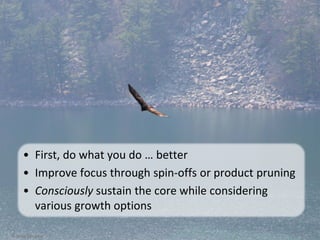 To identify your core business, identify:
1. Your most potentially profitable,
franchise customers
2. Your most differentiated and
strategic capabilities
3. Your most critical product offerings
4. Your most important channels
5. Any other critical strategic assets
that contribute to the above (such
as patents, brand name)
… From focus comes growth; by
narrowing scope one creates expansion.
Chris Zook
© Linda Gorchels
 