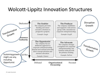 Wolcott-Lippitz Innovation Structures
© Linda Gorchels
 