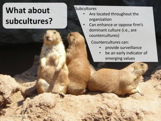 Henry Mintzberg on culture
“Culture is the soul of the
organization — the beliefs
and values, and how they are
manifested. I think of the
structure as the skeleton, and
as the flesh and blood. And
culture is the soul that holds
the thing together and gives it
life force.”
© Linda Gorchels
 