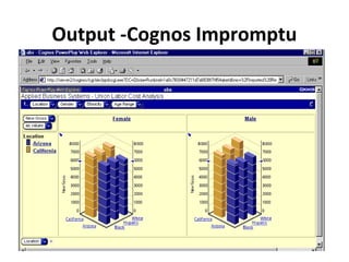 Output -Cognos Impromptu
 
