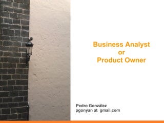 Business Analyst
              or
        Product Owner




Pedro González
pgonyan at gmail.com
 