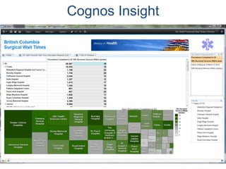 Cognos Insight
 