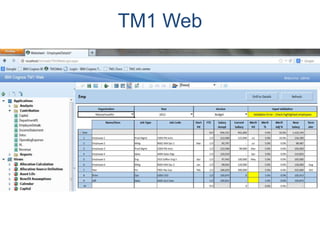 TM1 Web
 