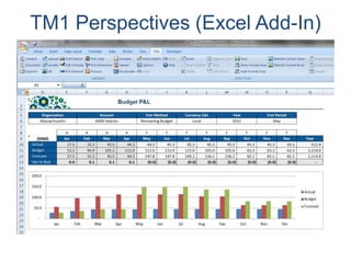 TM1 Perspectives (Excel Add-In)
 