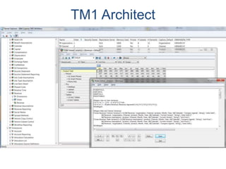 TM1 Architect
 