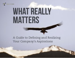 WHAT REALLY
MATTERS
A Guide to Defining and Realizing
Your Company’s Aspirations
 