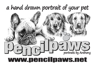 pencilpaws