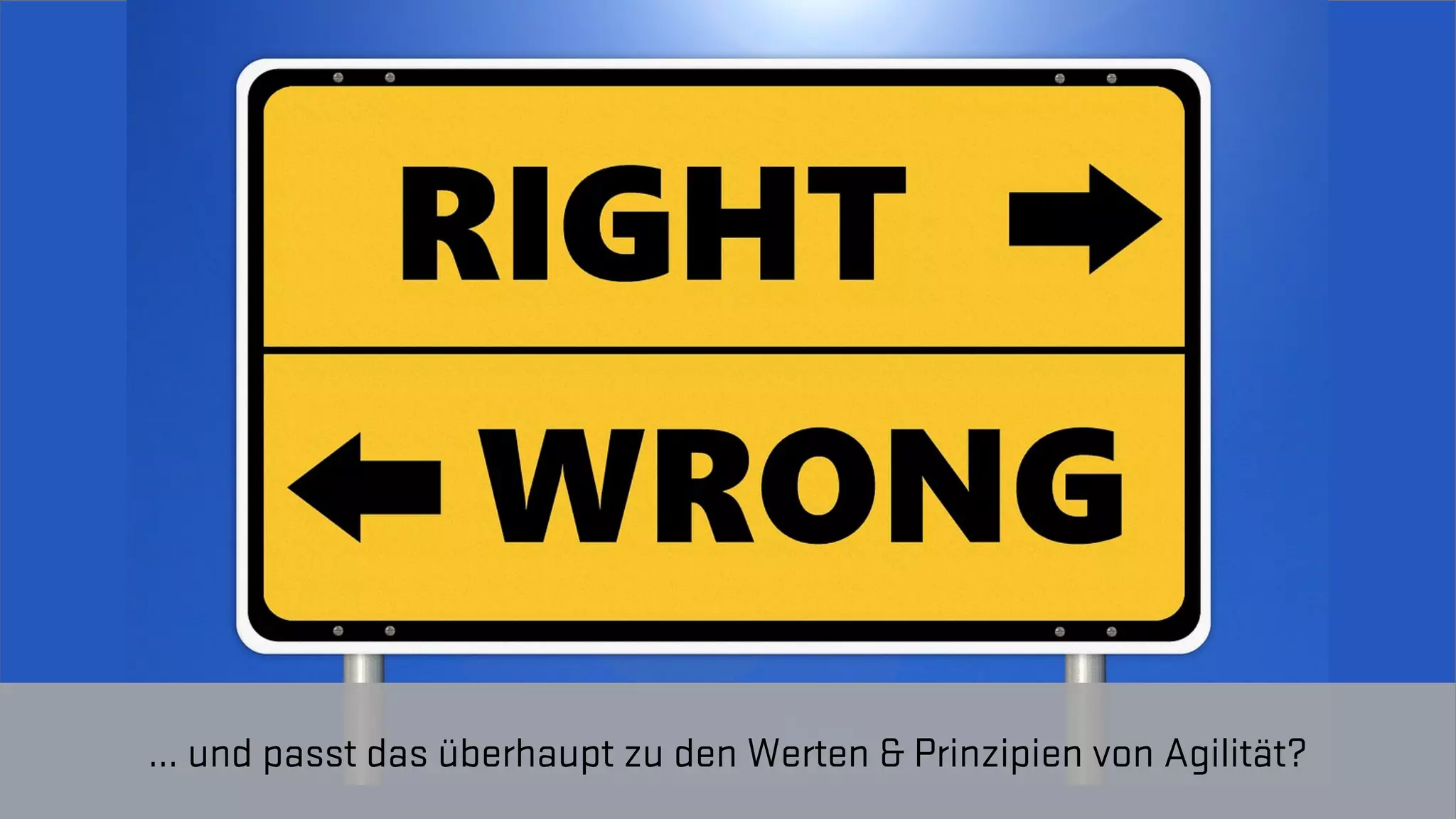 TRANSFORMING INTO SUSTAINABLE EXCELLENCE
… und passt das überhaupt zu den Werten & Prinzipien von Agilität?
 