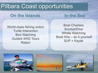 Boat Charters
Snorkel/Dive
Whale Watching
Boat Hire – do it yourself
SUP + Kayak
World-class fishing action
Turtle Interaction
Bird Watching
Guided 4WD Tours
Relax!
Pilbara Coast opportunities
On the Islands In the Sea
 