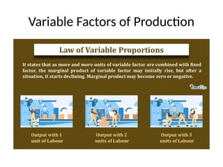 business economics unit 3 production dr kanchan (1).pptx