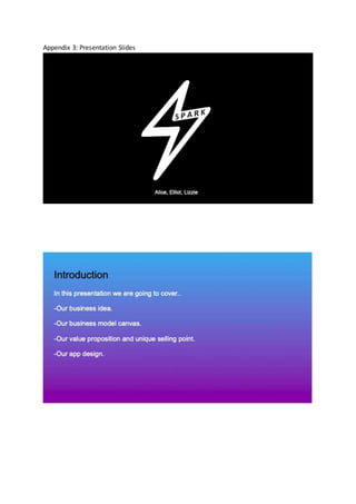 Appendix 3: Presentation Slides
 