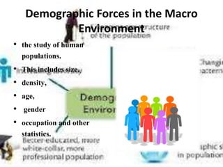 Demographic Forces in the Macro
Environment
• the study of human
populations.
• This includes size,
• density,
• age,
• gender
• occupation and other
statistics.
 