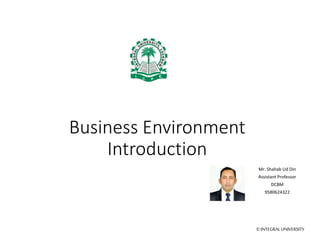 Business environment introduction | PPTX