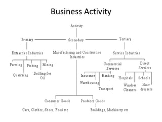Business Activity
 