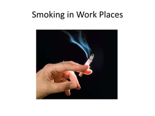 Smoking in Work Places
 