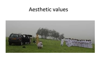 Aesthetic values
 