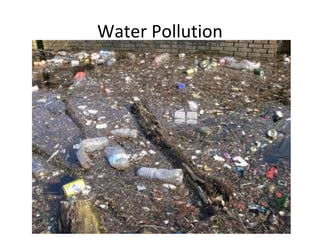 Water Pollution
 