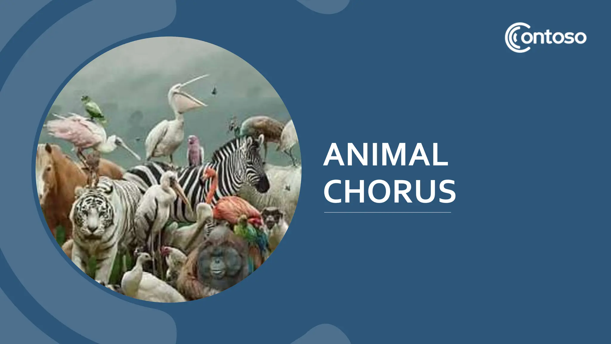 ANIMAL
CHORUS
 