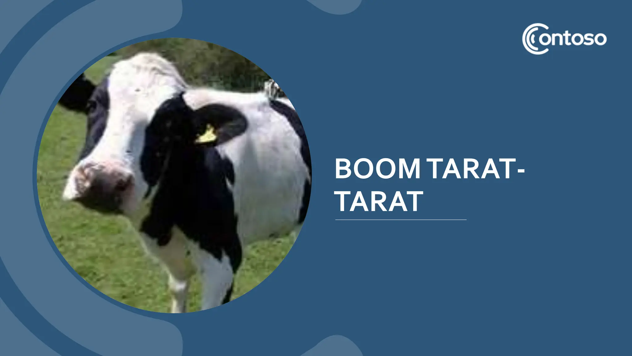 BOOMTARAT-
TARAT
 