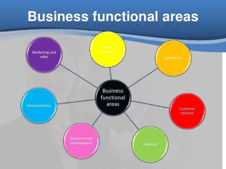 the function of a business plan