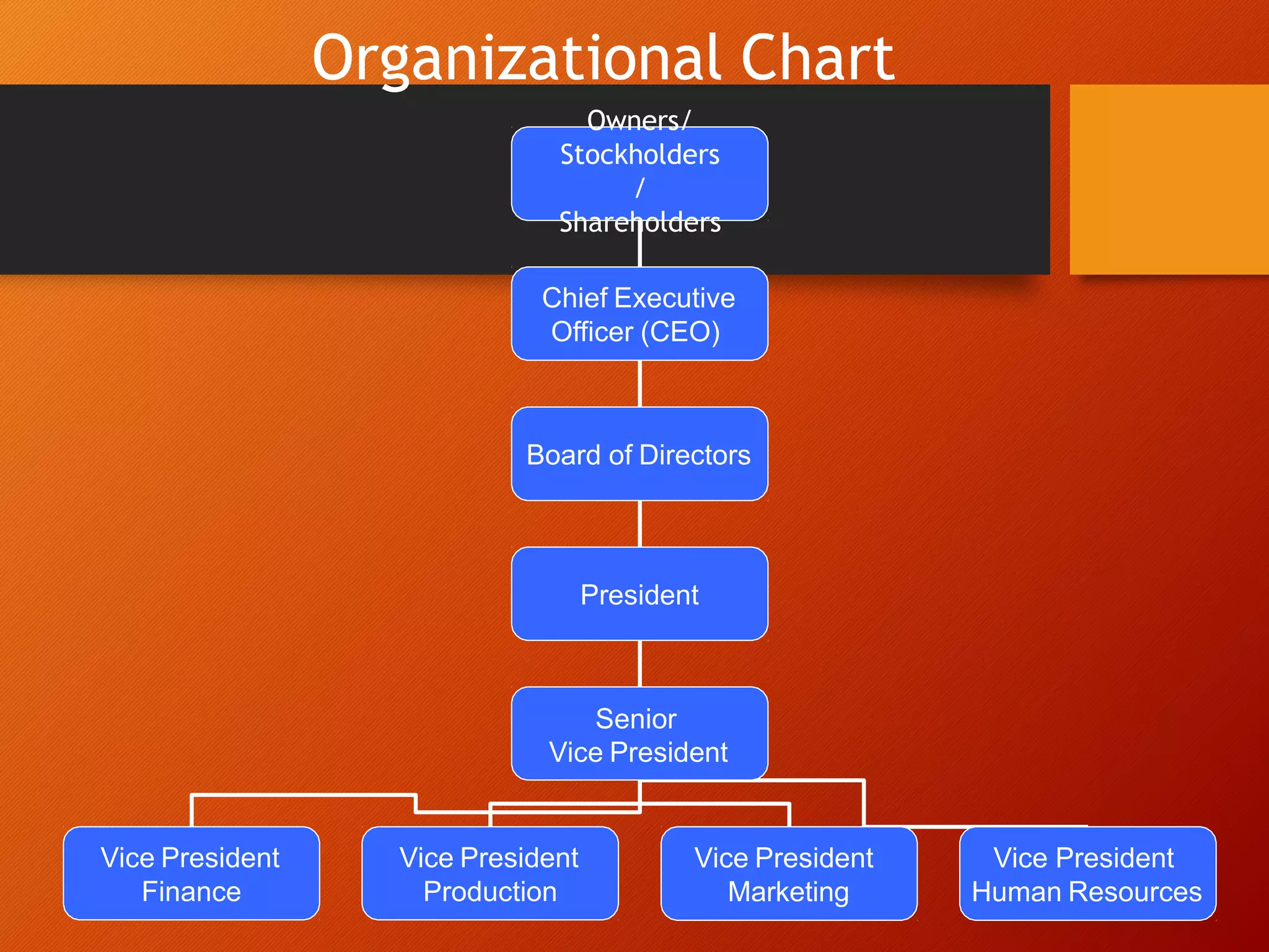 Chief Executive
Officer (CEO)
Board of Directors
President
Senior
Vice President
Vice President
Finance
Vice President
Production
Vice President
Marketing
Vice President
Human Resources
Organizational Chart
Owners/
Stockholders
/
Shareholders
 
