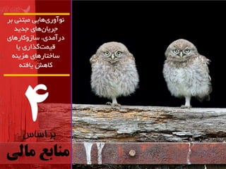 4 
بر اساس 
منابع مالی 
آًَ سٍی اّیی هثت یٌ تش 
جشیاى اّی جذیذ 
دسآهذی، ساص کٍاس اّی 
لیوت گزاسی یا 
ساختاس اّی ضّی کا صّ یافتِ 
 