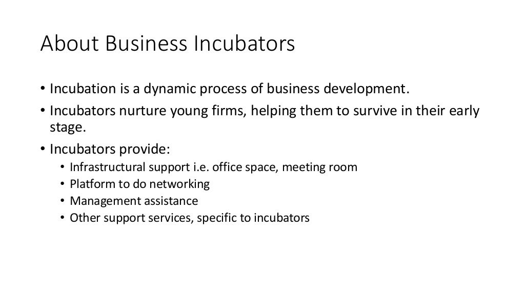 BUSINESS INCUBATORS