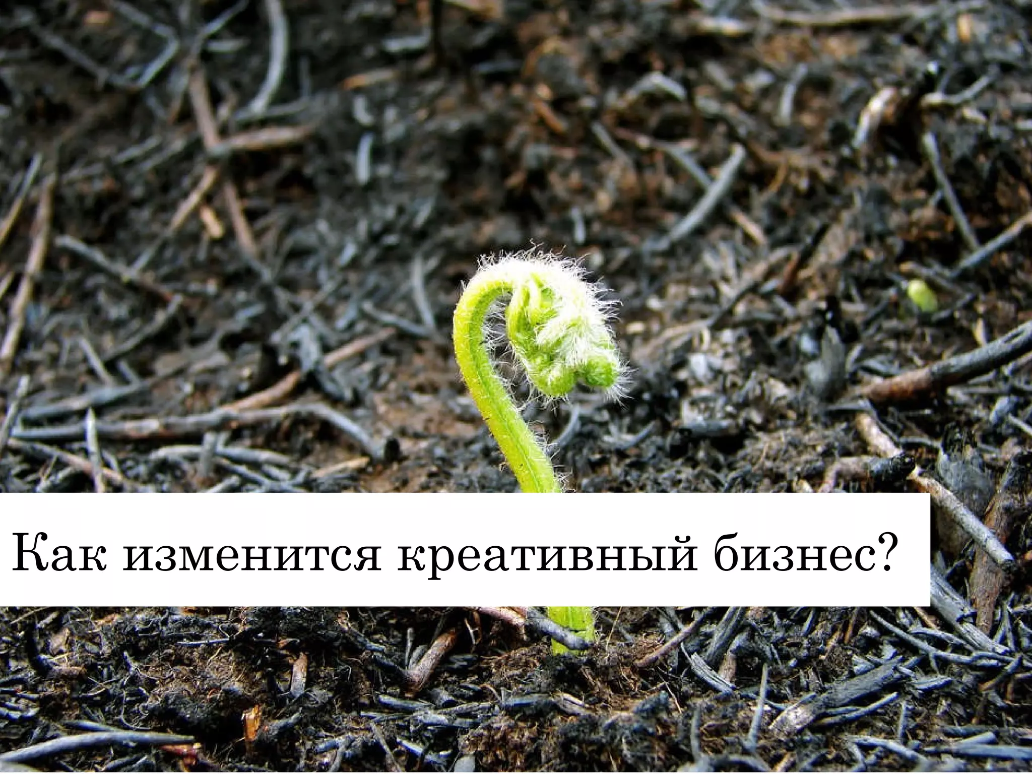 Как изменится креативный бизнес? 