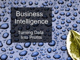 Business  Intelligence Turning Data  Into Profits http:// DavidHubbard.net/powerpoint 