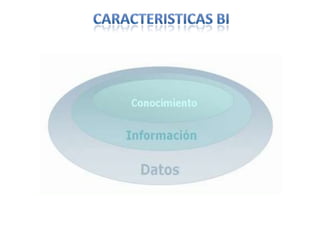 CARACTERISTICAS BI