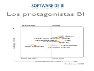 Software de bi